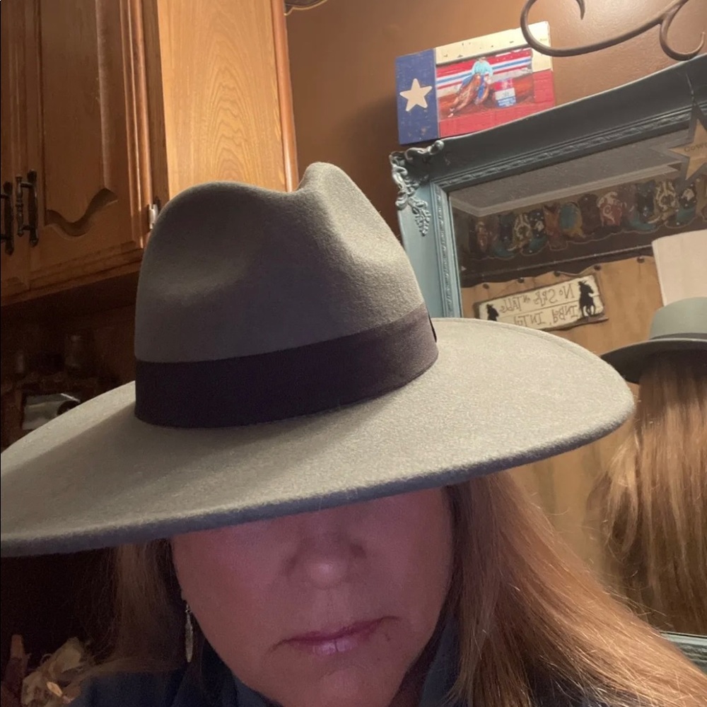Gray Felt Hat - image 8